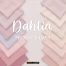 DAHLIA - FROSTY SILVER
