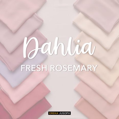 DAHLIA - FRESH ROSEMARY 