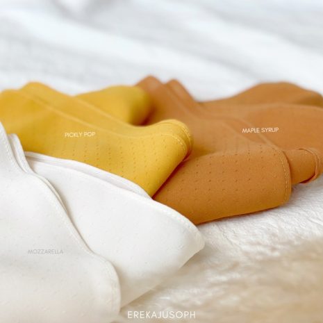 CAMELLIA - TEDDY BEAR