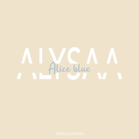 ALYSAA TOP - ALICE BLUE