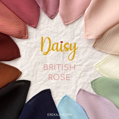 DAISY - BRITISH ROSE