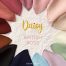 DAISY - BRITISH ROSE