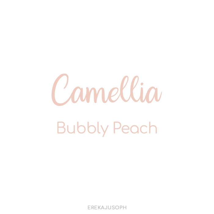 CAMELLIA - BUBBLY PEACH