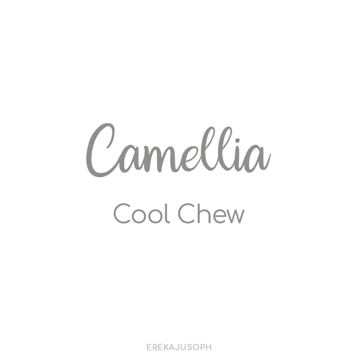 CAMELLIA - COOL CHEW