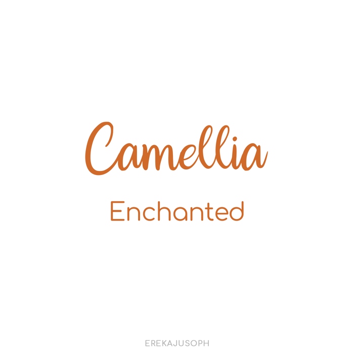 CAMELLIA - ENCHANTED