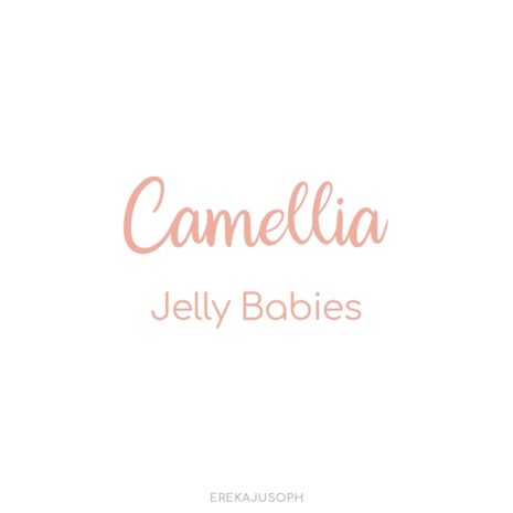 CAMELLIA - JELLY BABIES CAMELLIA - JELLY BABIES