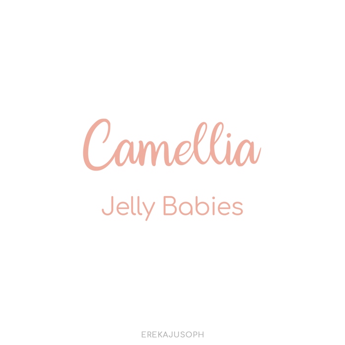 CAMELLIA - JELLY BABIES