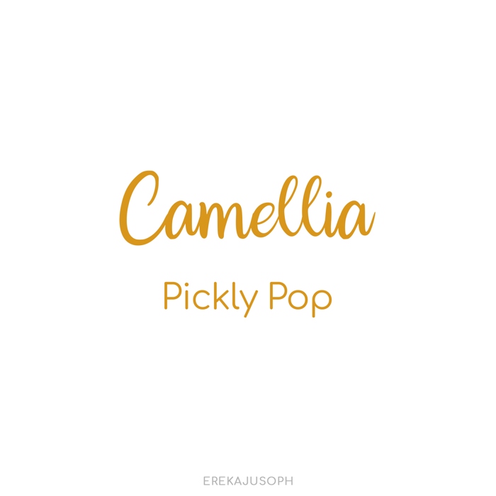 CAMELLIA - PICKLY POP