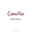 CAMELLIA - RED RUBY 