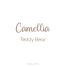 CAMELLIA - TEDDY BEAR